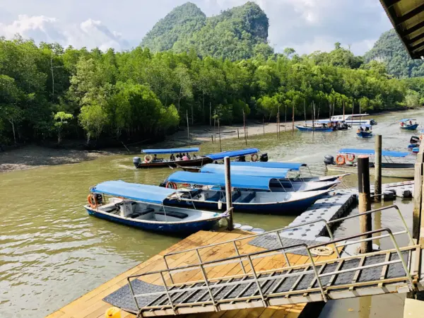 Mangrove Tours